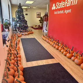 Pumpkin giveaway!