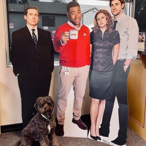 4 cardboard cutouts of actors from the office with Jake from State Farm  and a cute dog at our office