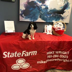 Mike Wright - State Farm Insurance Agent