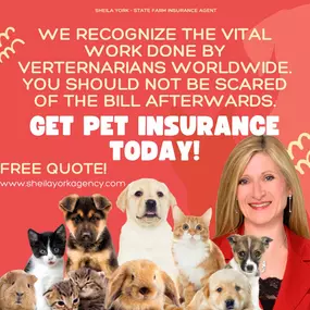 Don't stress over the vet bills, call our office today for a free pet insurance quote.