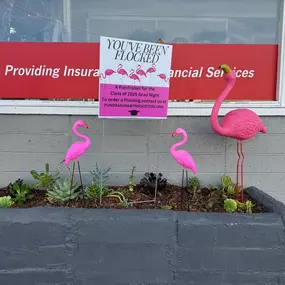 We've been FLOCKED! What an awesome thing to walk up and see today! This is such a cool fundraiser for the Terra Nova High School Senior Class. Visit fundraising@tnboosters.org and Flock your friends, too!