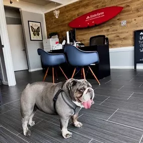 Good Neighbor Guard Dog on Duty! Unlike other security systems, our furry friends offer companionship too.