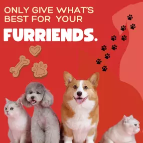 Don't forget your about your  furry friends! Stop by our State Farm office or give us a call today!