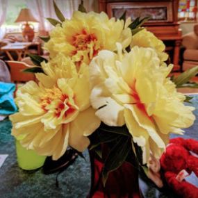 Bild von Dupree's Root 88 Garden Center & Florist