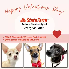???????????????????? ???????????????????????????????????????? ????????????! Care for our community is at the heart of everything we do. Every time you speak with our office we want you to feel seen and cared for. Please enjoy some cute puppy faces to brighten your day!