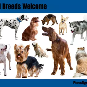 Bild von Ballston Park