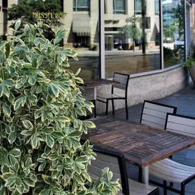 Bild von Ballston Park