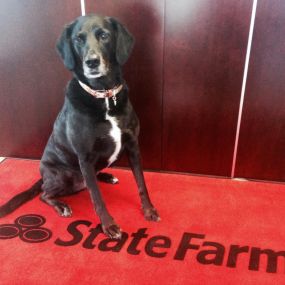Emily Adams - State Farm Insurance Agent