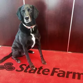 Emily Adams - State Farm Insurance Agent