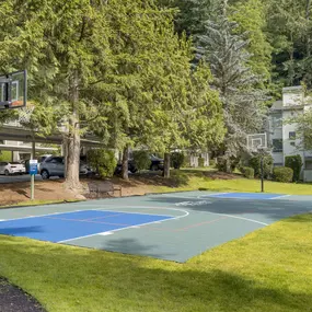 Bild von The Colony at Bear Creek
