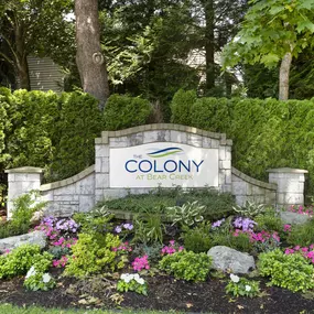 Bild von The Colony at Bear Creek