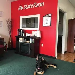 Stephen Quiles - State Farm Insurance Agents Puppy