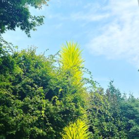 Bild von Chihuly Garden and Glass