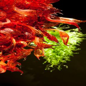 Bild von Chihuly Garden and Glass