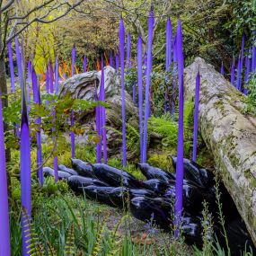 Bild von Chihuly Garden and Glass