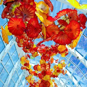 Bild von Chihuly Garden and Glass