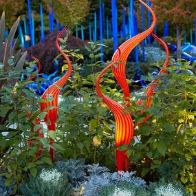 Bild von Chihuly Garden and Glass