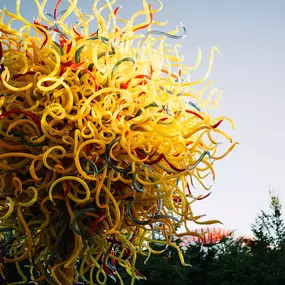 Bild von Chihuly Garden and Glass