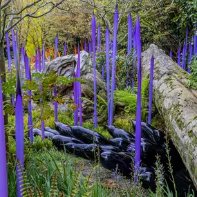 Bild von Chihuly Garden and Glass