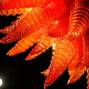 Bild von Chihuly Garden and Glass