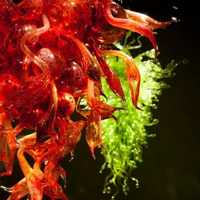 Bild von Chihuly Garden and Glass