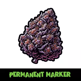 Permanent Marker Feminized Cannabis Seeds From Kind Seed Co