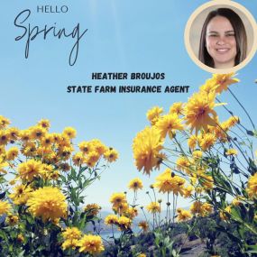 Heather Broujos - State Farm Insurance Agent