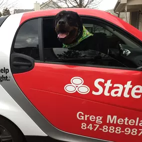 Greg Metelak - State Farm Insurance