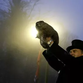 Happy Groundhog Day, everyone!