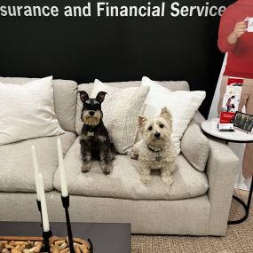 Another PAW-FECT day at the office.
Happy National Take your Dog to Work Day from Banks & Oliver!