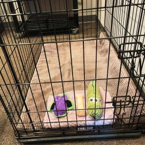 When your new office cleaning company does their first job at your office and carefully folds and arranges the dog bed, you know you have a keeper! (there were many other amazing details, but this was definitely an above and beyond detail). Thanks Sidney!