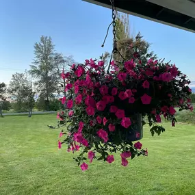 I’ve got myself a FAMOUS Ferndale Flower Basket at my very own home now thanks to a little bit of luck and the @ferndale_chamber!