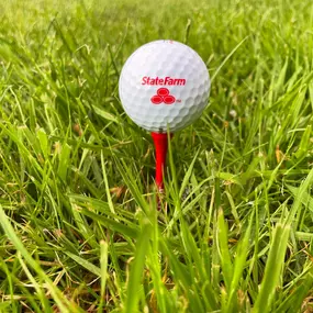 Nicer days are on the way (at least, we sure hope so!)! If golf is your sport, come by and pick up a fun, complimentary ball and tees, available now and as long as they last! ⛳️☀️
— in Ferndale, WA.