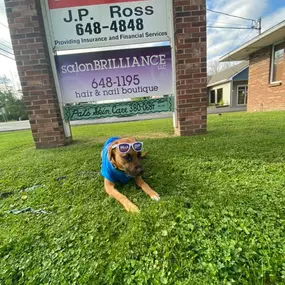 JP Ross - State Farm Insurance Agent