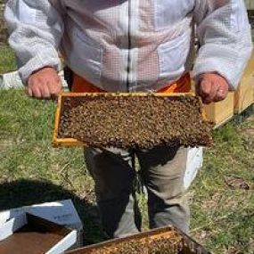 Bild von Dry Ridge Bee Supply