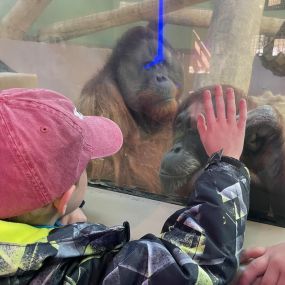 Brooks at the zoo for school field trip!