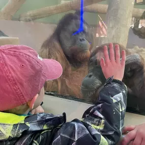 Brooks at the zoo for school field trip!