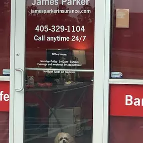 Lucy is ready to greet any customers!