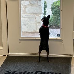 Pawffice Visitors are our favorite
