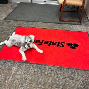Today is bond with your dog day so Mr. Fritz decided to make a quick stop at the office to say hi and hang out with the team.  What did you do for bond with your dog day?