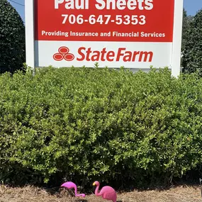 We’ve been FLOCKED for St. Jude Children’s Research Hospital fundraiser for our local Chili’s restaurant of Thomaston