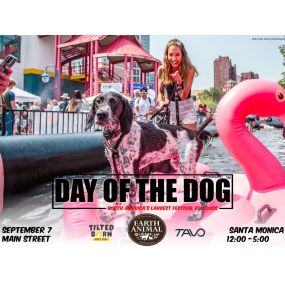 Count down until Day of the Dog! Come see us in our booth Sept 7, from noon-5 pm. North America’s largest festival for Dogs. Booth 101