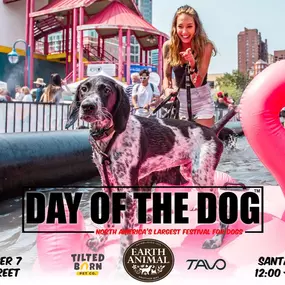 Count down until Day of the Dog! Come see us in our booth Sept 7, from noon-5 pm. North America’s largest festival for Dogs. Booth 101