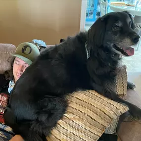 It’s National Hug Your Dog Day! We hope your dogs enjoy the day as much as our buddies Sophie (with Debbie) and Gunther (on Zach)! Be sure to give your pup a cuddle today, and check back tomorrow for round two of our cute pets.