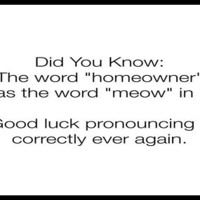 When your insurance agent asks you “who do you have your homeowners with?” ????

I can’t unhear this! Can you?