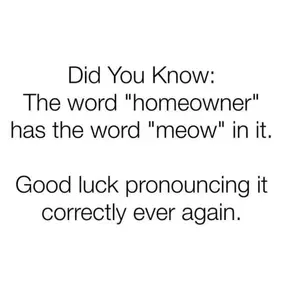 When your insurance agent asks you “who do you have your homeowners with?” ????

I can’t unhear this! Can you?