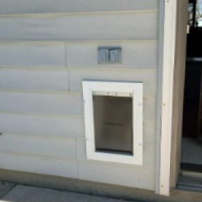 Ace Handyman Services Fort Wayne Northeast Dog Door Install