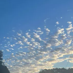 Beautiful outside (even if it's freezing)! Love our Carolina Blue skies!