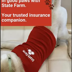 Grant  Looman - State Farm Insurance Agent