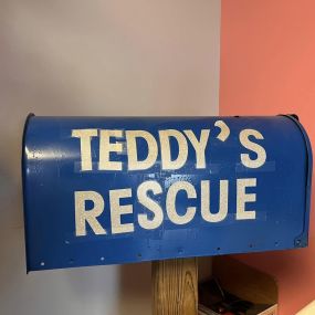 Today Jake traveled to Teddy’s Rescue Mission. If you are looking for a nice pooch or kitten for your family, look no further than this awesome organization! As a fellow dog lover (3 dogs), I love what owner Gayle Mitchell and her great team have provided to our community! Supporting them with donations like dog food and kitty litter is always welcome!